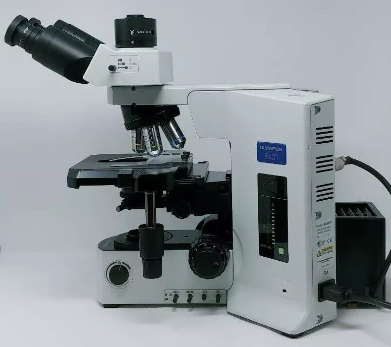 Olympus Microscope BX51 with Trinocular Head - microscopemarketplace