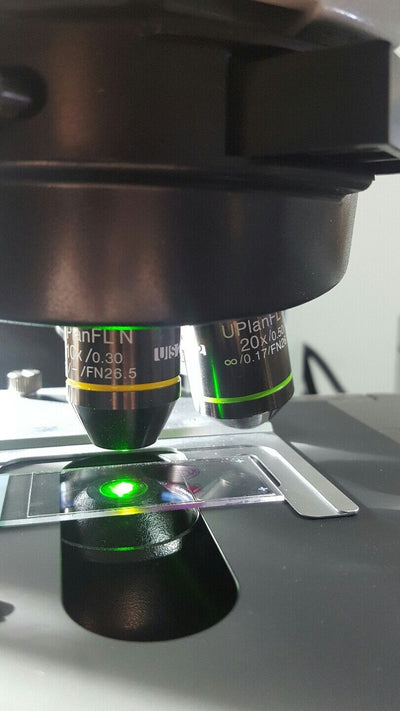 Olympus Microscope BX61 FISH Fluorescence In Situ Hybridization - microscopemarketplace