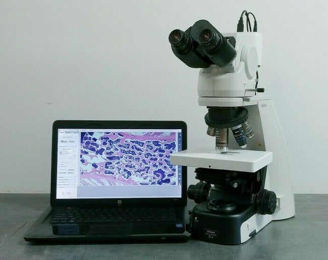 Nikon Microscope Eclipse Ci-L with 1x Objective, Digital Camera, and Fixed Stage - microscopemarketplace