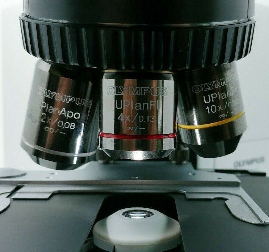 Olympus Microscope BX40 with Superwide Head, Apo 2x and Fluorites ...