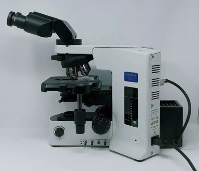 Olympus Microscope BX51 with Fluorites and Tilting Binocular Head Pathology - microscopemarketplace