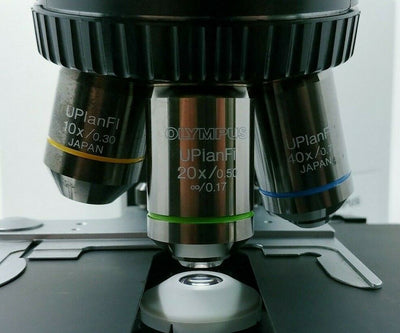 Olympus Microscope BX40 with Superwide Head, Apo 2x and Fluorites - microscopemarketplace