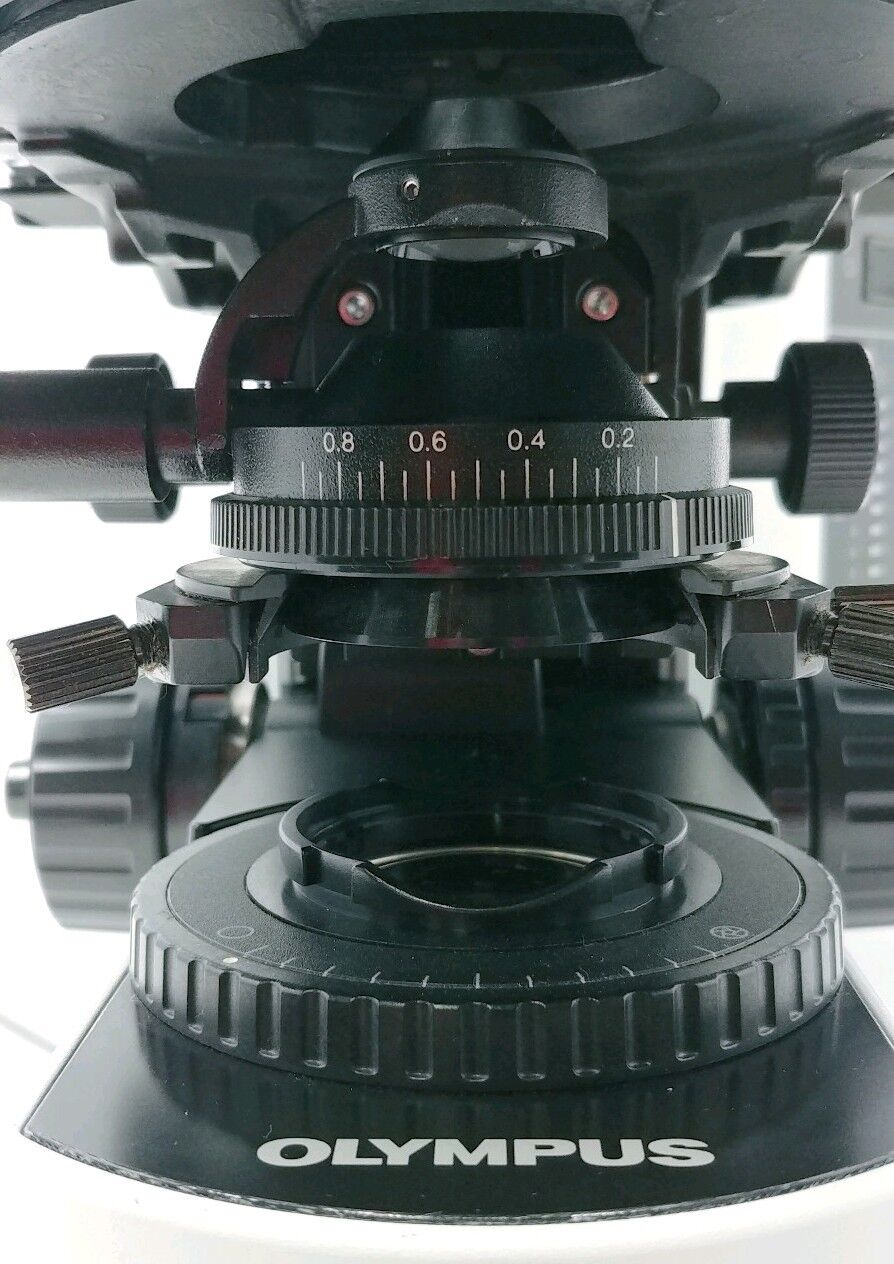 Olympus Microscope BX51 with Fluorites and Tilting Binocular Head - microscopemarketplace