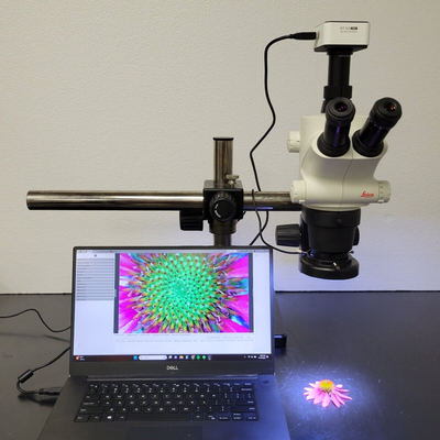 Leica Stereo Microscope S6D with Boomstand, Trinocular Pod, and Camera - microscopemarketplace