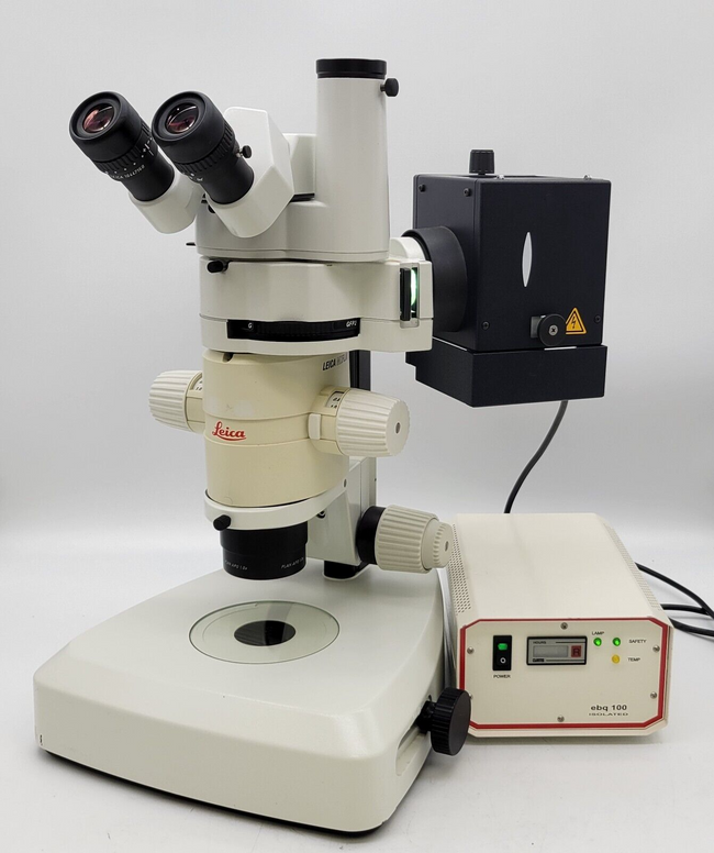 Leica Stereo Microscope MZFLIII Fluorescence with Photo Tube and Plan Apo 1x - microscopemarketplace