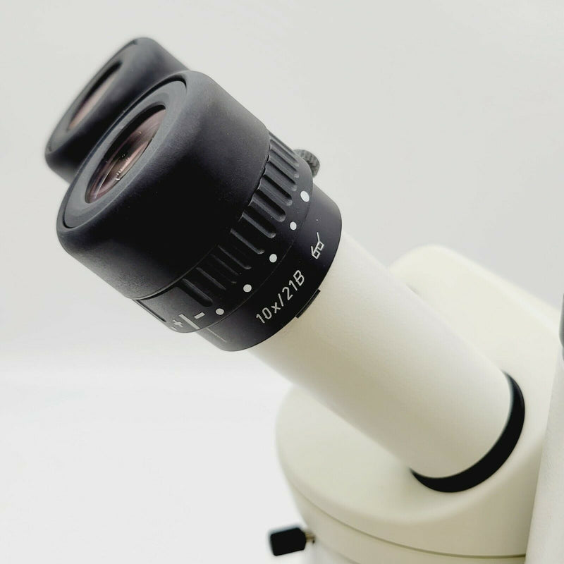 Leica Stereo Microscope MZ12 with Plan Apo 1x, Phototube, and Illuminated Stand - microscopemarketplace