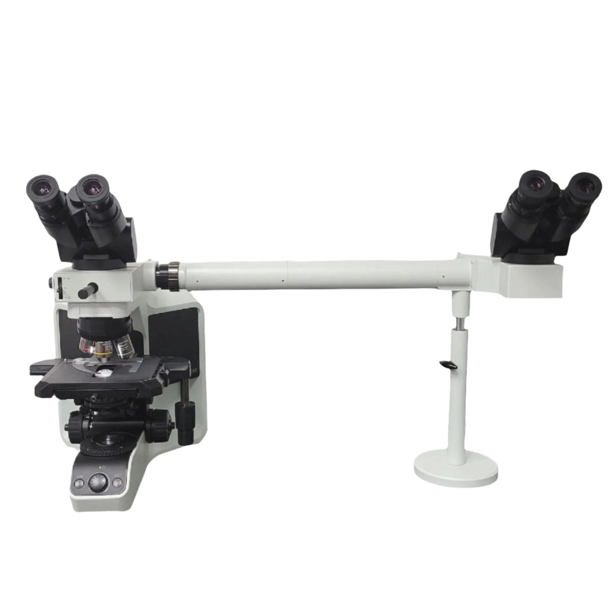 Lab Microscope Bx43f Olympus Microscope BX43 with Fluorites & Side by Side Dual Head Bridge ...