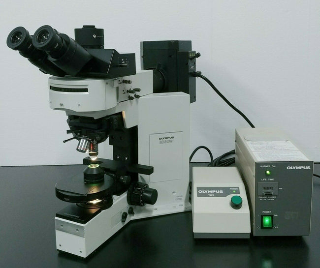 Olympus Microscope BX50 Water Immersion with Fluorescence and DIC - microscopemarketplace