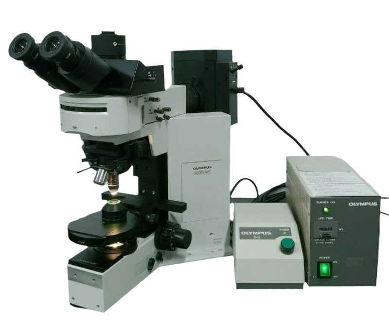 Olympus Microscope BX50 Water Immersion with Fluorescence and DIC - microscopemarketplace