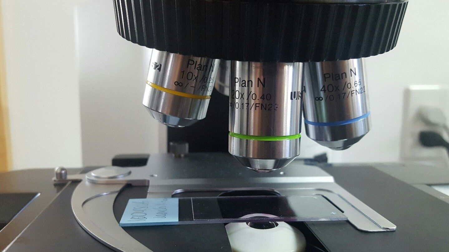 Olympus Microscope BX41 with 2X Multihead teaching (3 Heads) Mohs Microscope - microscopemarketplace