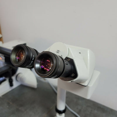 Leica Microscope DMLB Side by Side Pathology 2X - microscopemarketplace