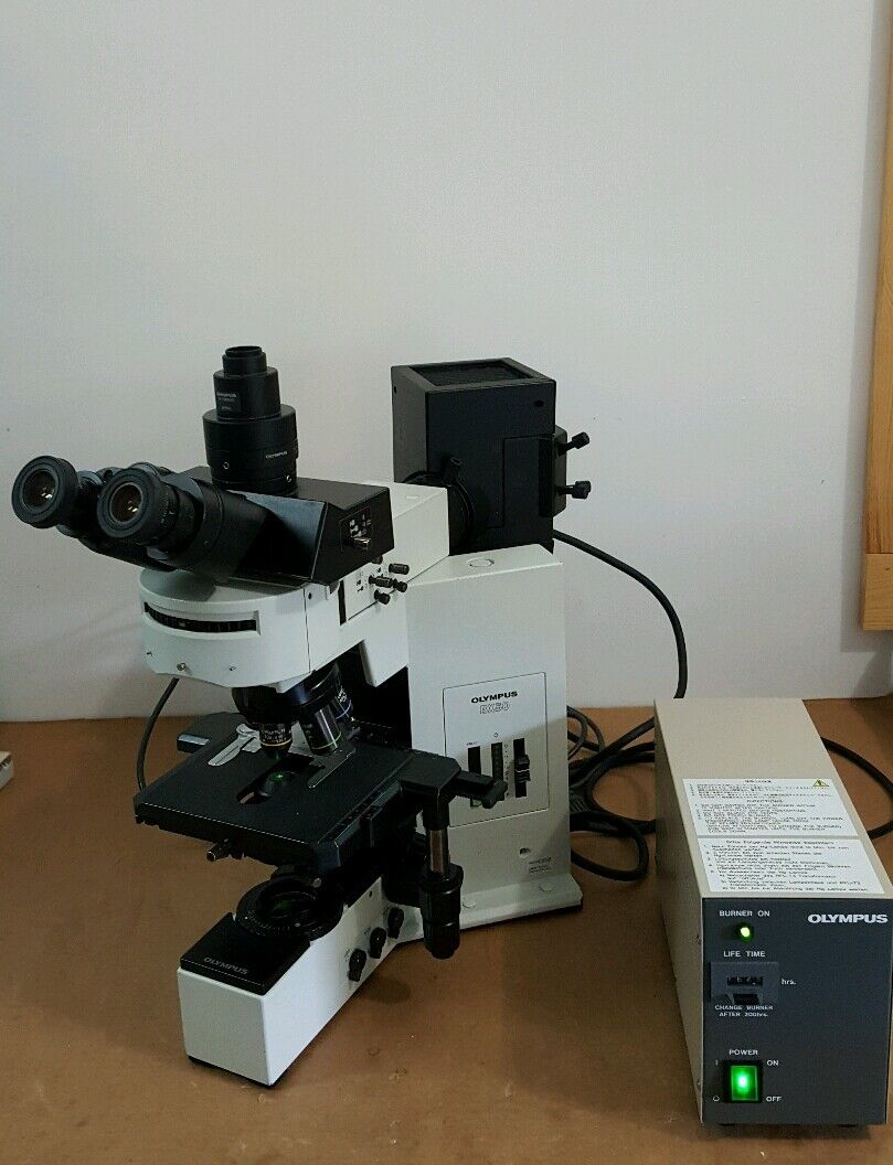 Olympus Microscope BX50  with Fluorescence (Fully Serviced) - microscopemarketplace