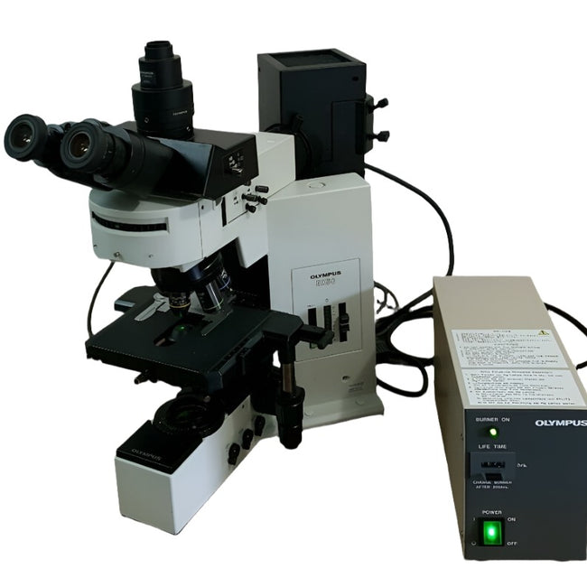 Olympus Microscope BX50  with Fluorescence (Fully Serviced) - microscopemarketplace