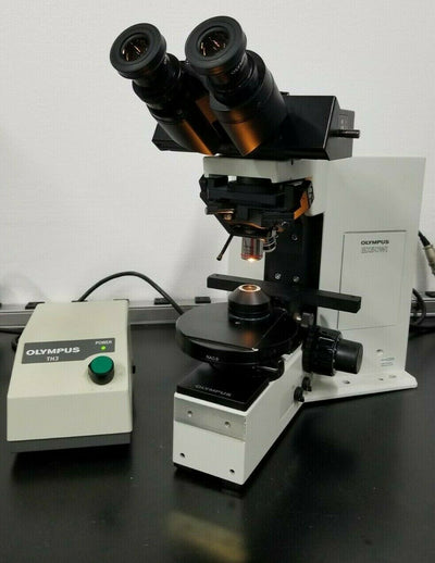 Olympus Microscope BX50 Water Immersion With DIC - microscopemarketplace