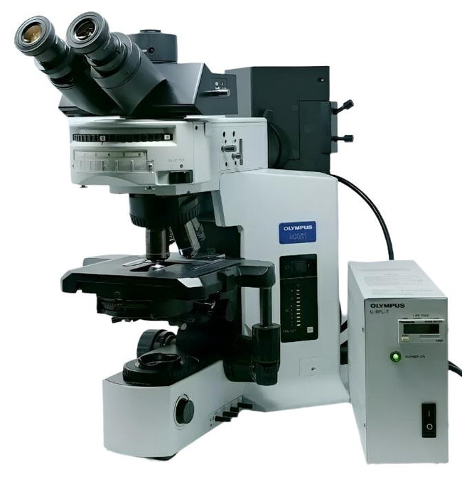 Olympus Microscope BX51 with Fluorescence and Phase Contrast - microscopemarketplace