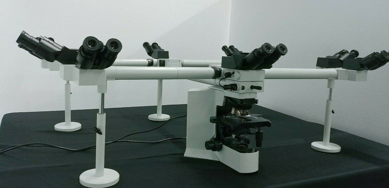 Olympus Microscope BX51 Multihead 10 Headed Teaching System with 2X Objective / Pathology - microscopemarketplace
