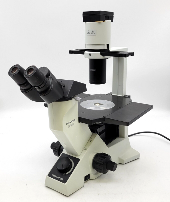 Olympus Microscope CK40 Inverted with Phase Contrast - microscopemarketplace