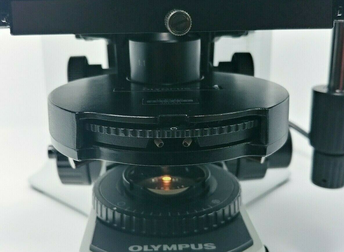 Olympus Microscope BX41 with Phase Contrast and Tilting Head - microscopemarketplace