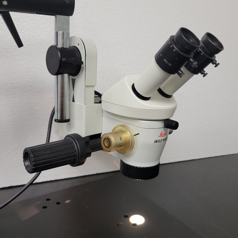 Wilde Microscope Leica Wild Surgical Microscope M651 Necropsy Operating Stereoscope w.