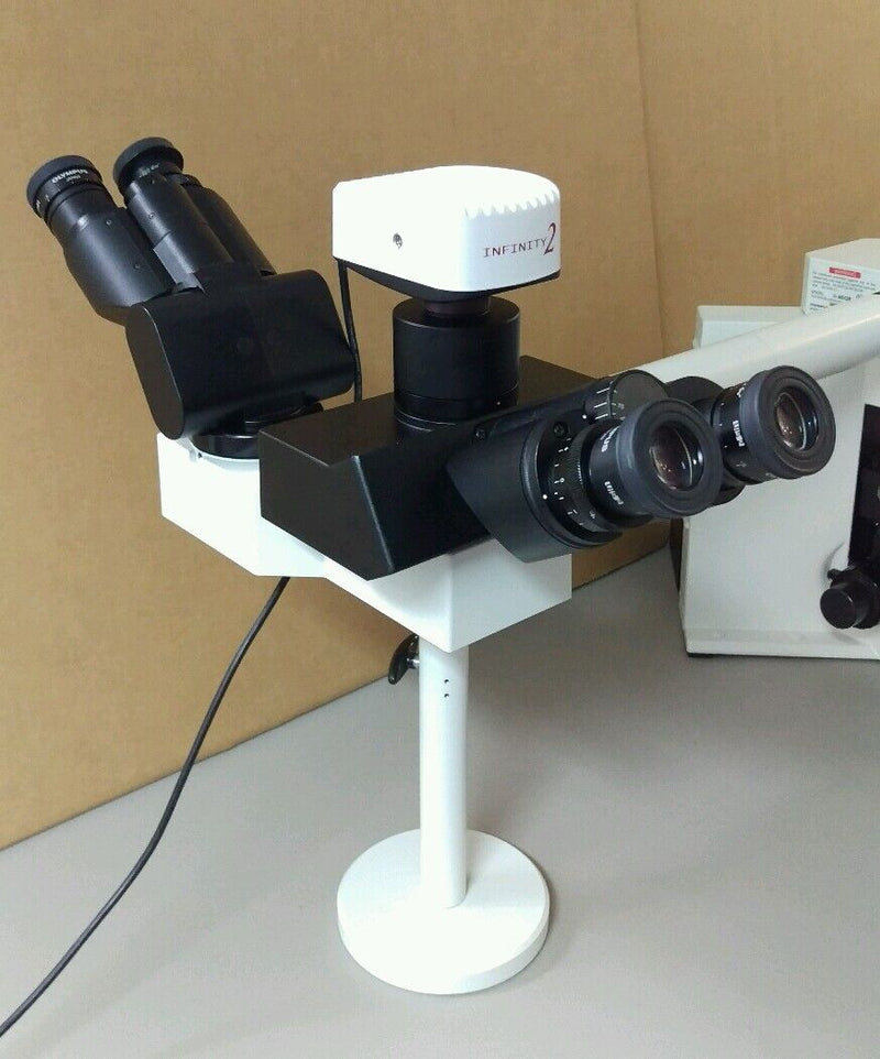 Olympus Microscope BX50 Teaching Multihead with Apos / Pathology - microscopemarketplace