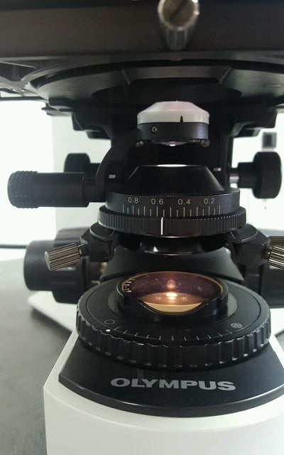 Olympus Microscope BX41 with 2X and Tilting Telescope head - microscopemarketplace