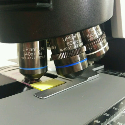 Olympus Microscope BX61 Phase Contrast - microscopemarketplace