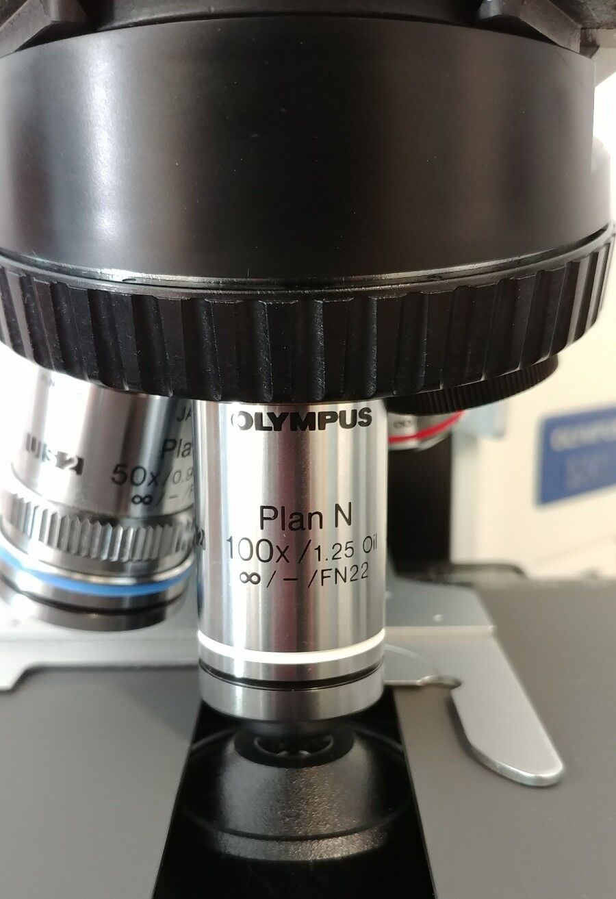 Olympus Microscope BX41 Clinical Pathology with 50x Oil and Binocular Head - microscopemarketplace