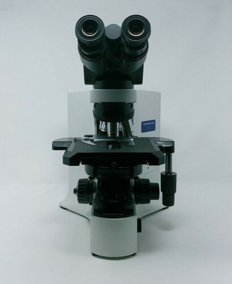 Olympus Microscope BX41 with Phase Contrast and Tilting Head - microscopemarketplace