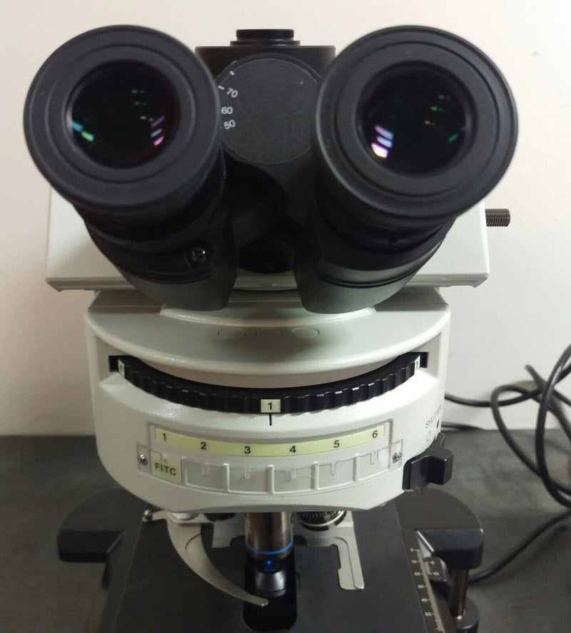 Olympus Microscope BX41 Fluorescence - microscopemarketplace