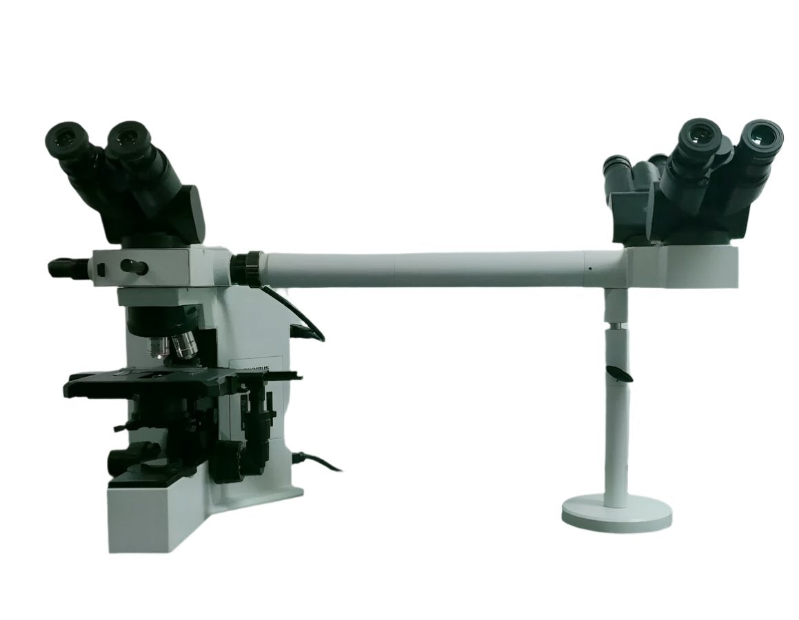 Olympus Microscope BX40 with Dual Port Side by Side Teaching Bridge - microscopemarketplace