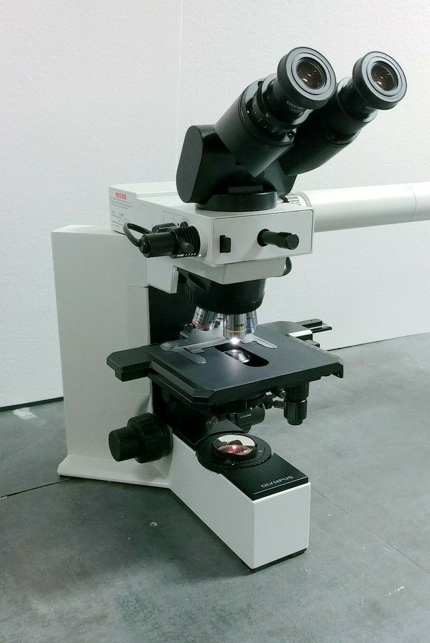 Olympus Microscope BX40 with Dual Port Side by Side Teaching Bridge - microscopemarketplace