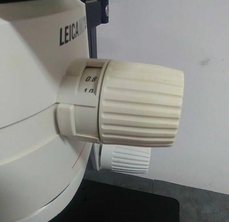 Leica Microscope MZ12.5 with Tilting Binocular Head and KL 750 Illuminator - microscopemarketplace