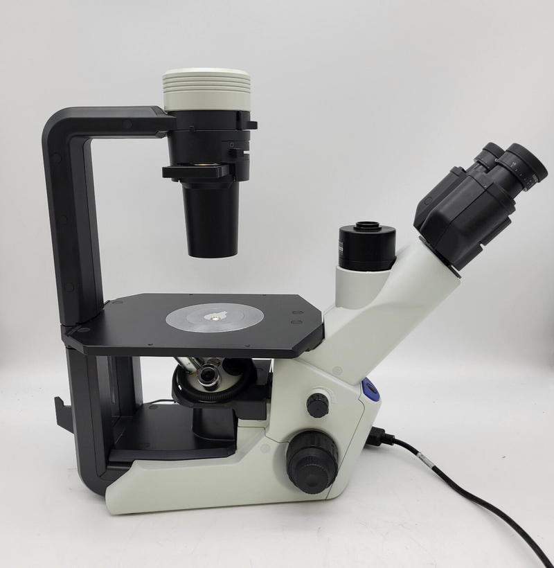 Olympus Microscope CKX53 Inverted with Phase Contrast - microscopemarketplace