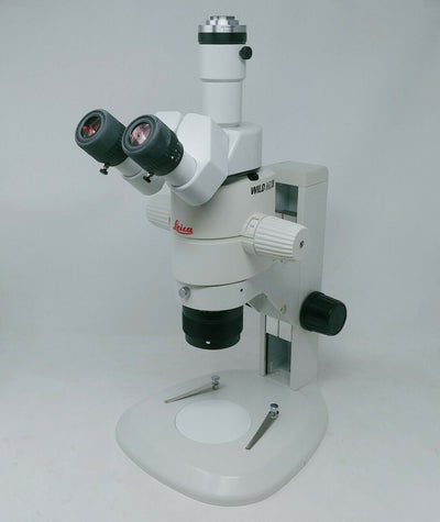 Leica Wild Microscope MZ8 Stereozoom with Tinocular Head - microscopemarketplace