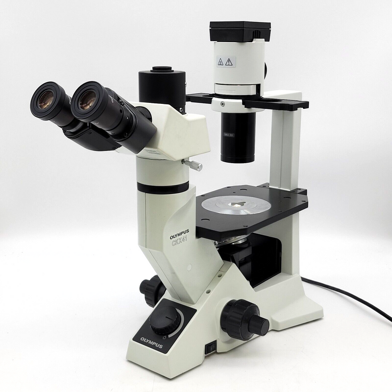 Olympus Microscope CKX41 with Phase Contrast & Trinocular Head | Tissue Culture - microscopemarketplace