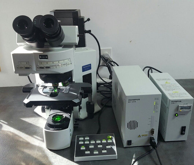 Olympus Microscope BX61 FISH Fluorescence In Situ Hybridization - microscopemarketplace