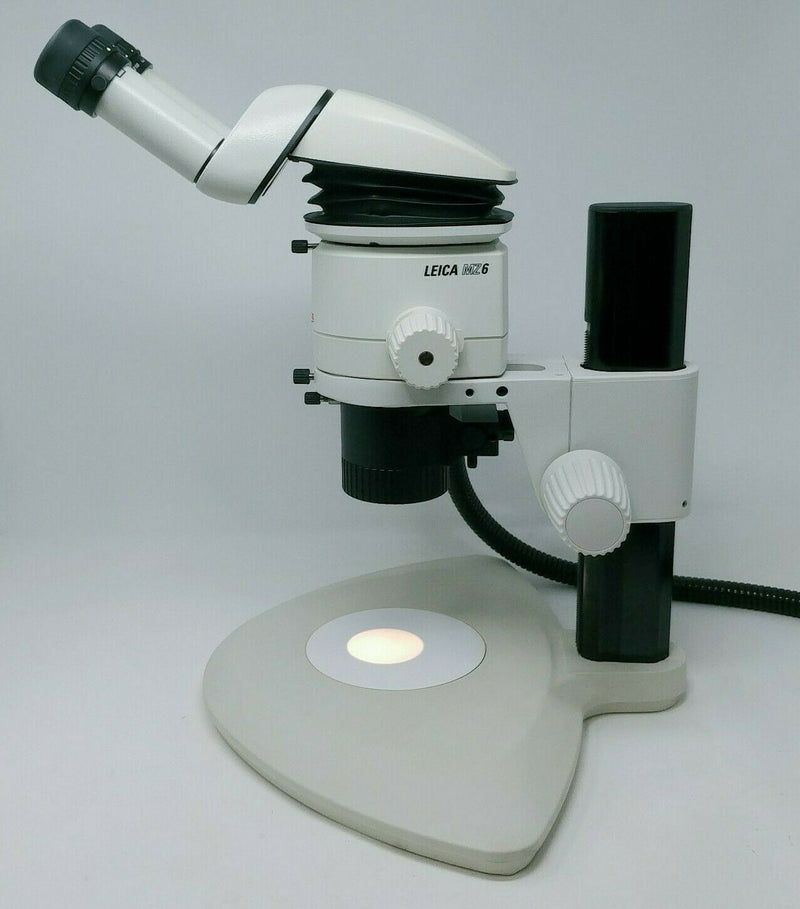 Leica Microscope MZ6 with Tilting Head and Illuminator - microscopemarketplace