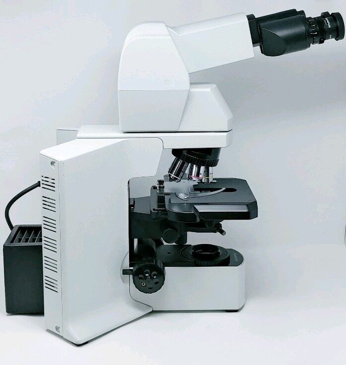 Olympus Microscope BX51 with Tilting Telescoping Head - microscopemarketplace