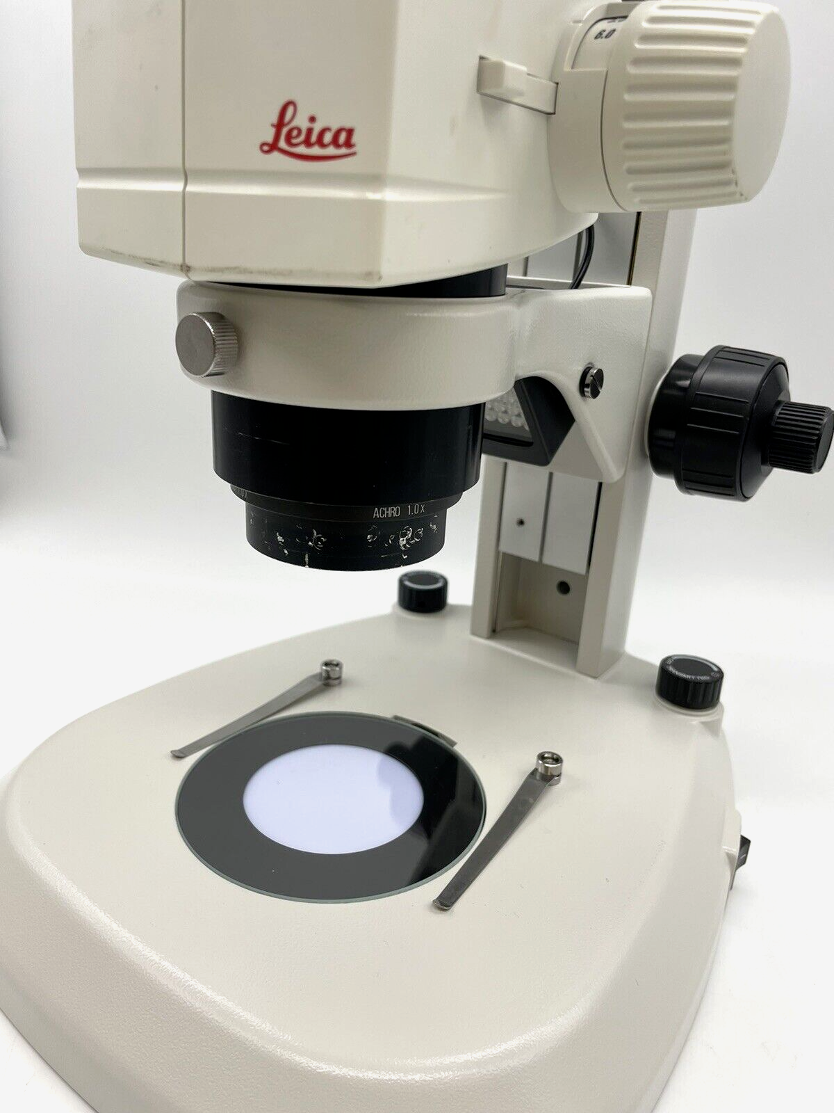 Leica Stereo Microscope M80 with Transmitted & Reflected Light Stand - microscopemarketplace