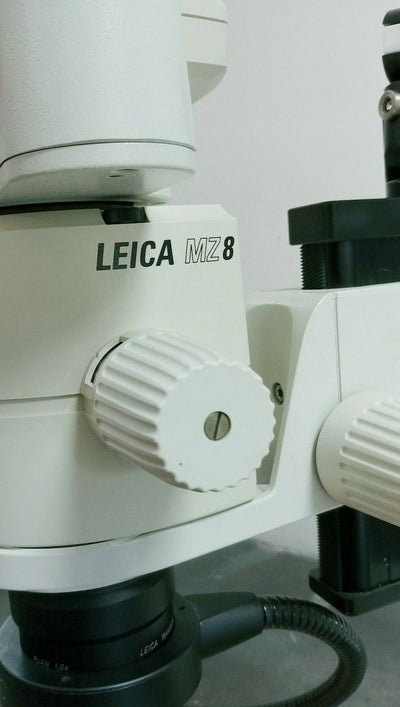 Leica Microscope MZ8 Stereozoom with Boomstand - microscopemarketplace
