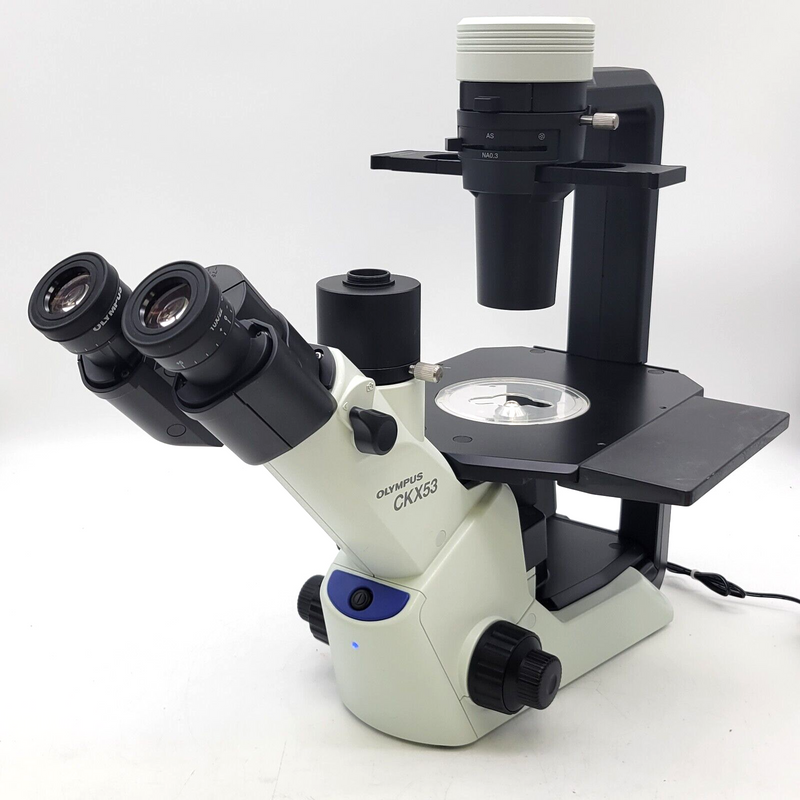 Olympus Microscope CKX53 Inverted with Phase Contrast and IPC Objectives - microscopemarketplace