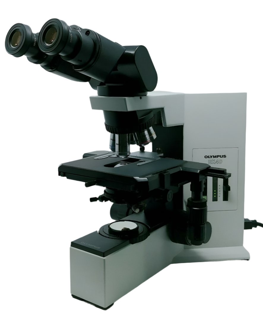 Olympus Microscope BX40 with Tilting Head and 2X Objective - microscopemarketplace