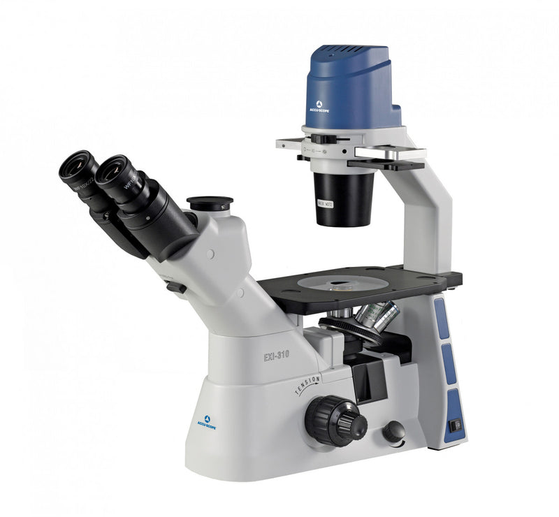 Accu-Scope EXI-310 Trinocular Microscope with Plan Phase Objectives - microscopemarketplace